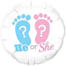 Folinis balionas ''He or She?''