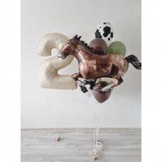 Helio balionu rinkinys su arkliuku