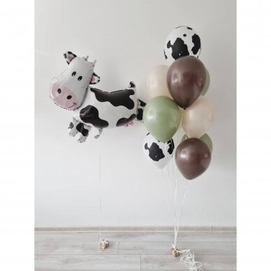 Helio balionų rinkinys su karvute