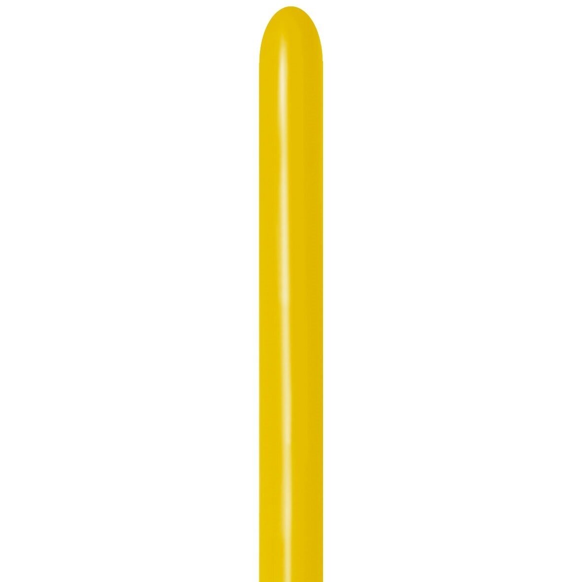 ''Honey Yellow'' spalvos modeliavimo balionas 260M
